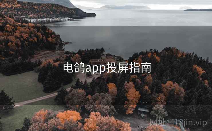 电鸽app投屏指南  第1张