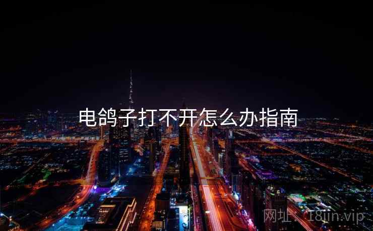 电鸽子打不开怎么办指南  第2张