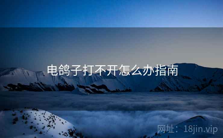电鸽子打不开怎么办指南  第1张
