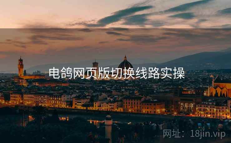 电鸽网页版切换线路实操  第1张