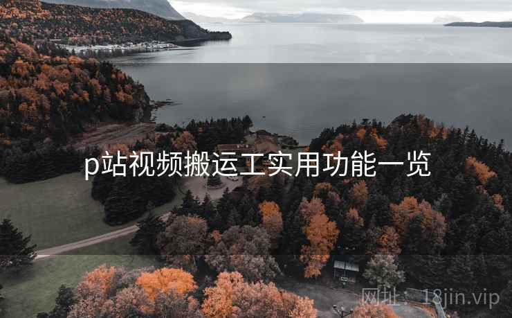 p站视频搬运工实用功能一览  第1张