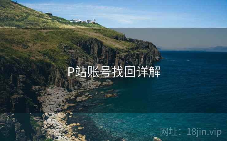 P站账号找回详解  第1张