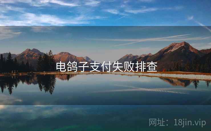 电鸽子支付失败排查  第2张