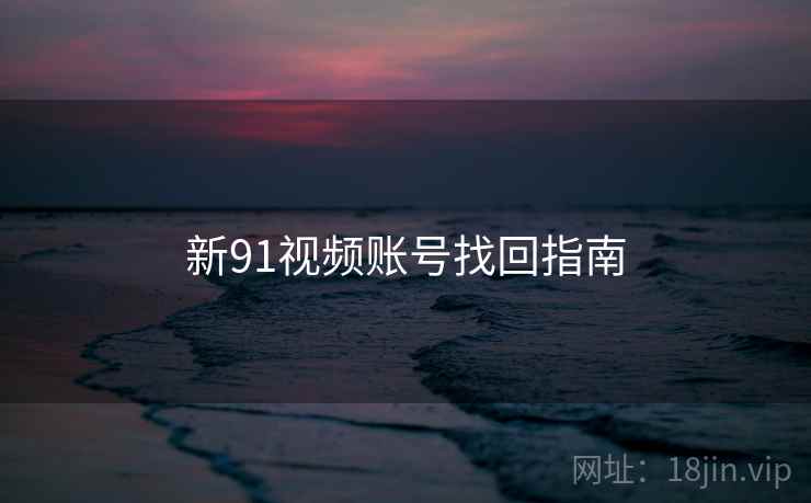 新91视频账号找回指南  第1张
