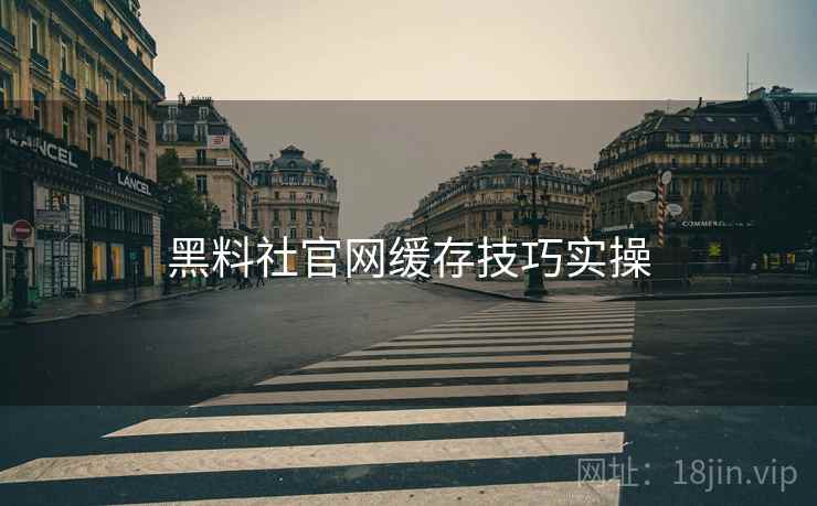 黑料社官网缓存技巧实操  第2张