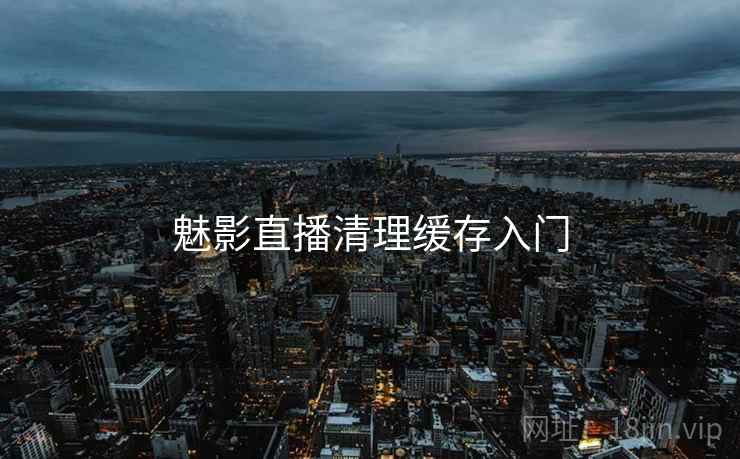 魅影直播清理缓存入门  第2张