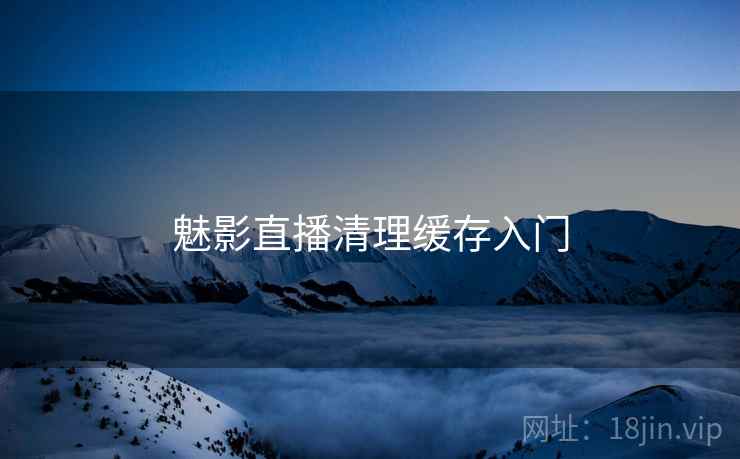 魅影直播清理缓存入门  第1张