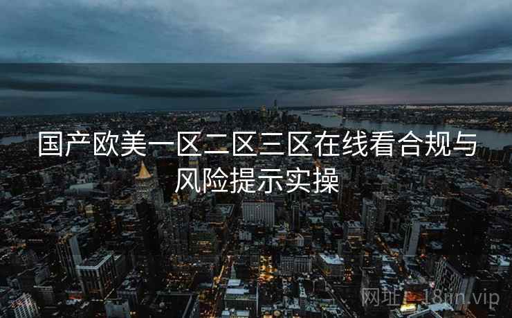 国产欧美一区二区三区在线看合规与风险提示实操  第1张