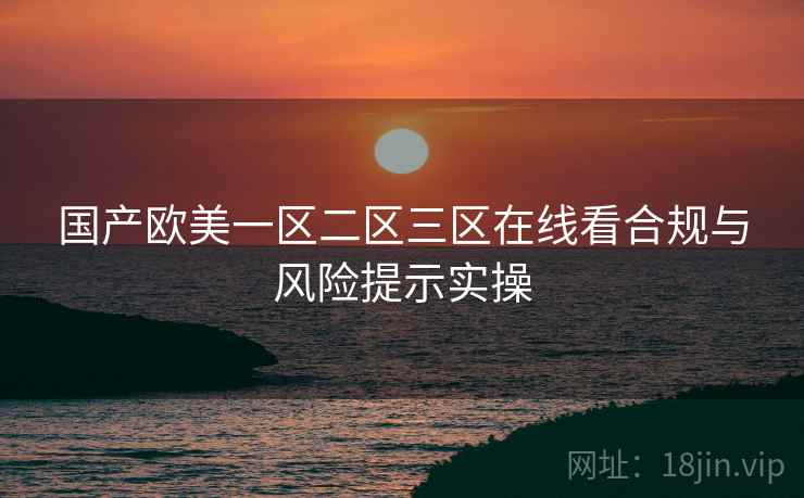 国产欧美一区二区三区在线看合规与风险提示实操  第2张