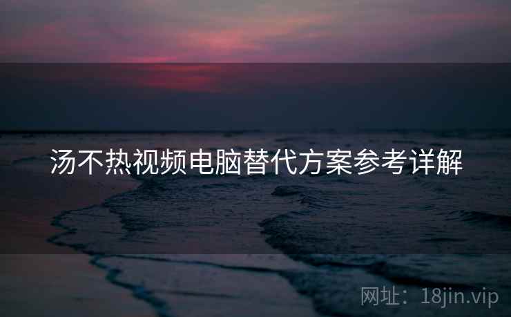 汤不热视频电脑替代方案参考详解  第2张