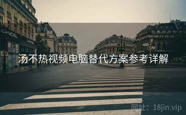 汤不热视频电脑替代方案参考详解  第1张