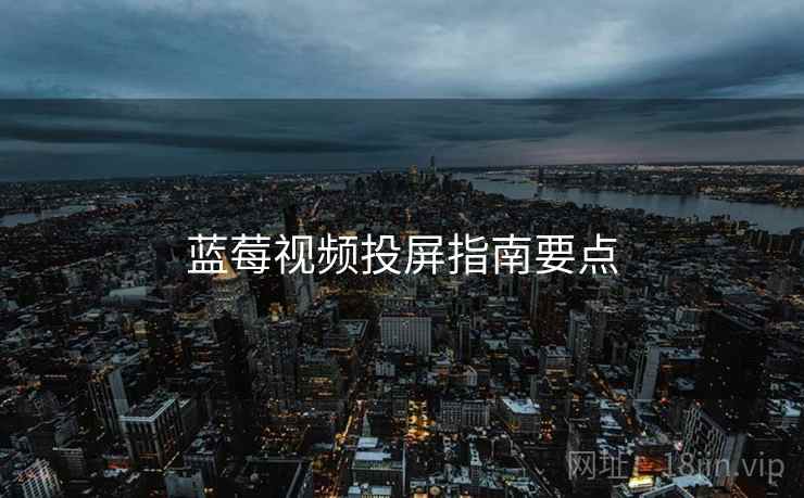 蓝莓视频投屏指南要点  第1张