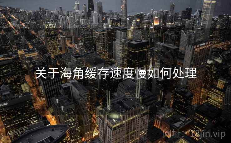 关于海角缓存速度慢如何处理  第2张