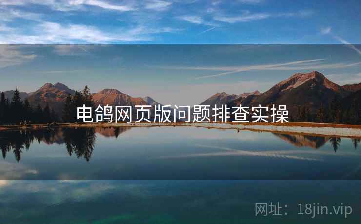 电鸽网页版问题排查实操  第1张