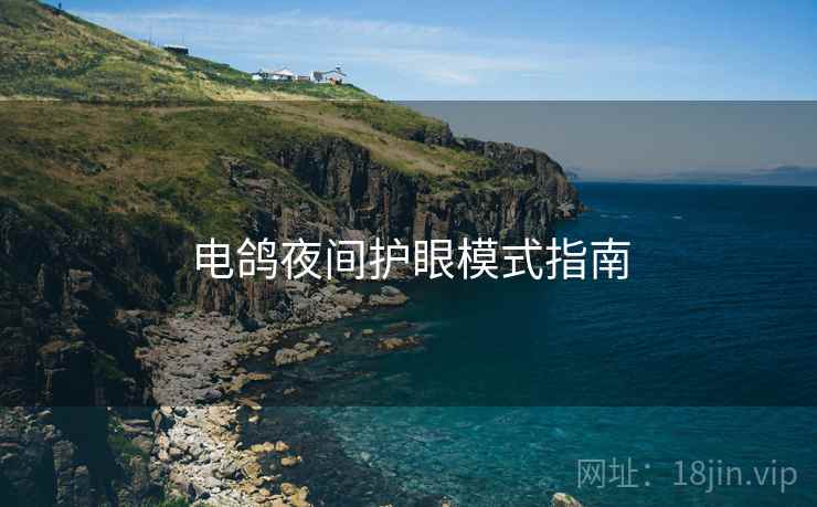 电鸽夜间护眼模式指南  第1张