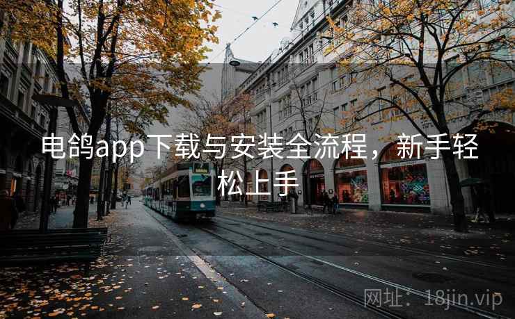电鸽app下载与安装全流程，新手轻松上手  第1张
