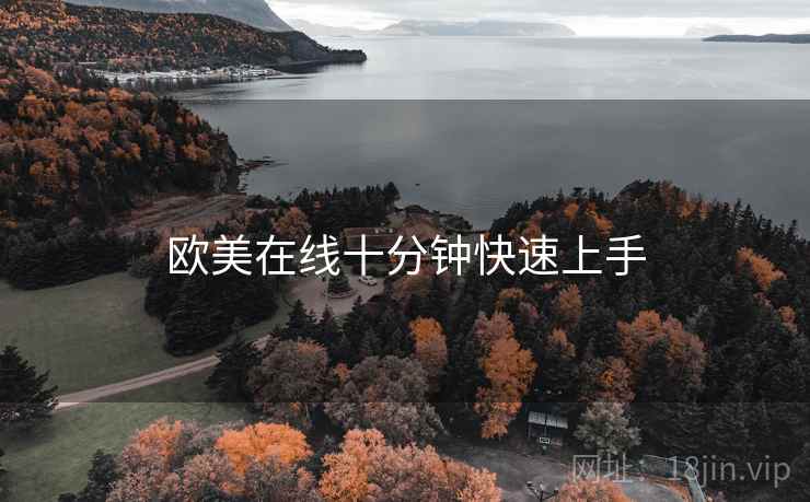 欧美在线十分钟快速上手  第2张