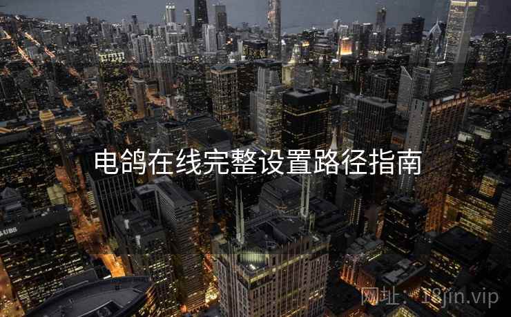 电鸽在线完整设置路径指南  第2张