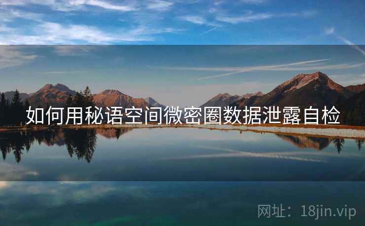 如何用秘语空间微密圈数据泄露自检  第2张