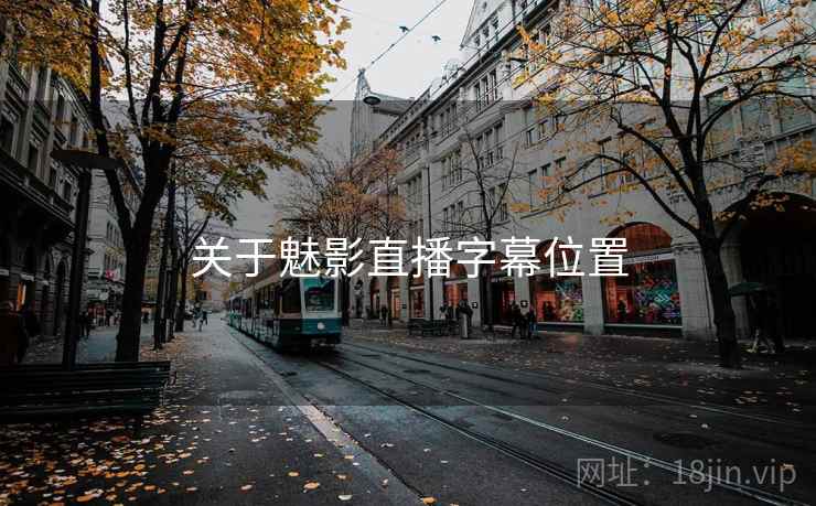 关于魅影直播字幕位置  第1张