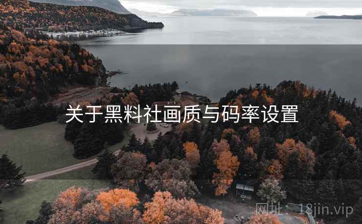 关于黑料社画质与码率设置  第2张