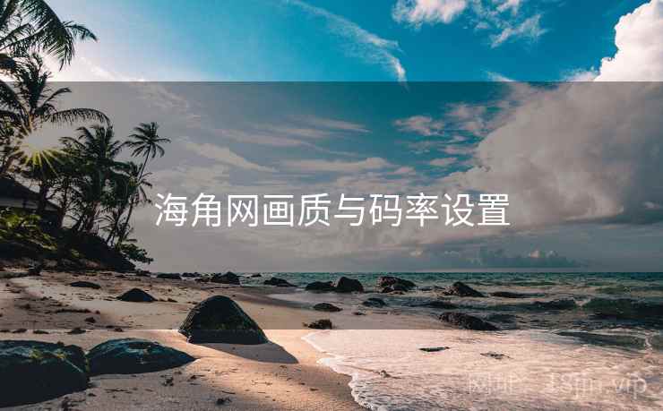 海角网画质与码率设置  第1张